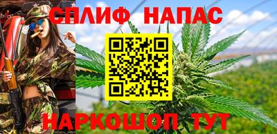 стаф Гатчина