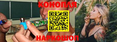 стаф Гатчина