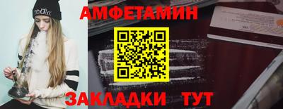 стаф Гатчина