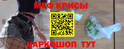 стаф Гатчина